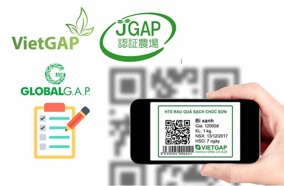 Dịch vụ truy xuất & giám sát e-GAP